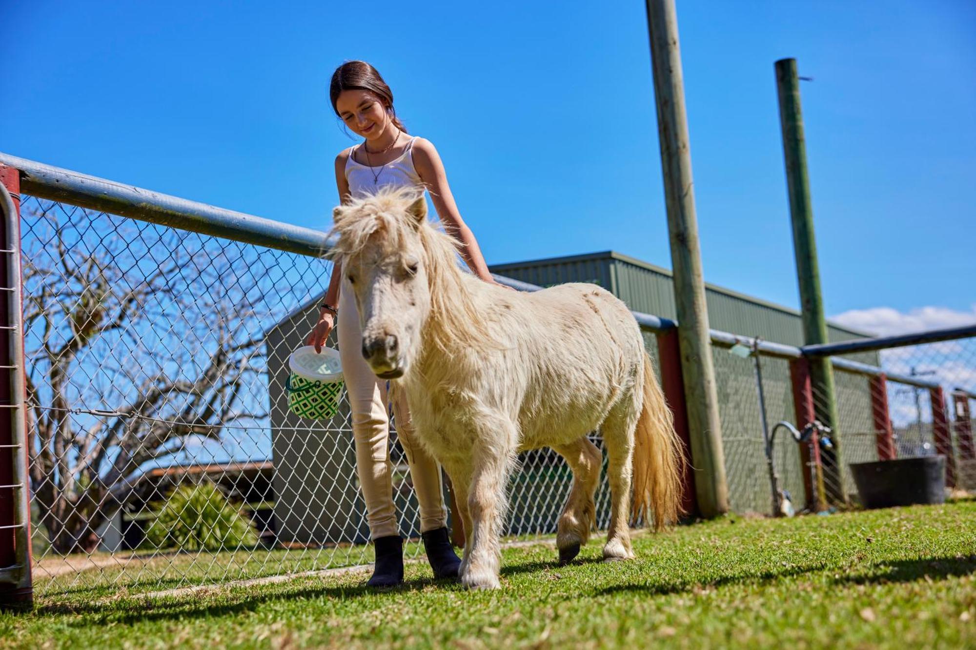 Kur-Cow Farm Escape 35 Minutes From Cairns Hotel Kuranda Bagian luar foto
