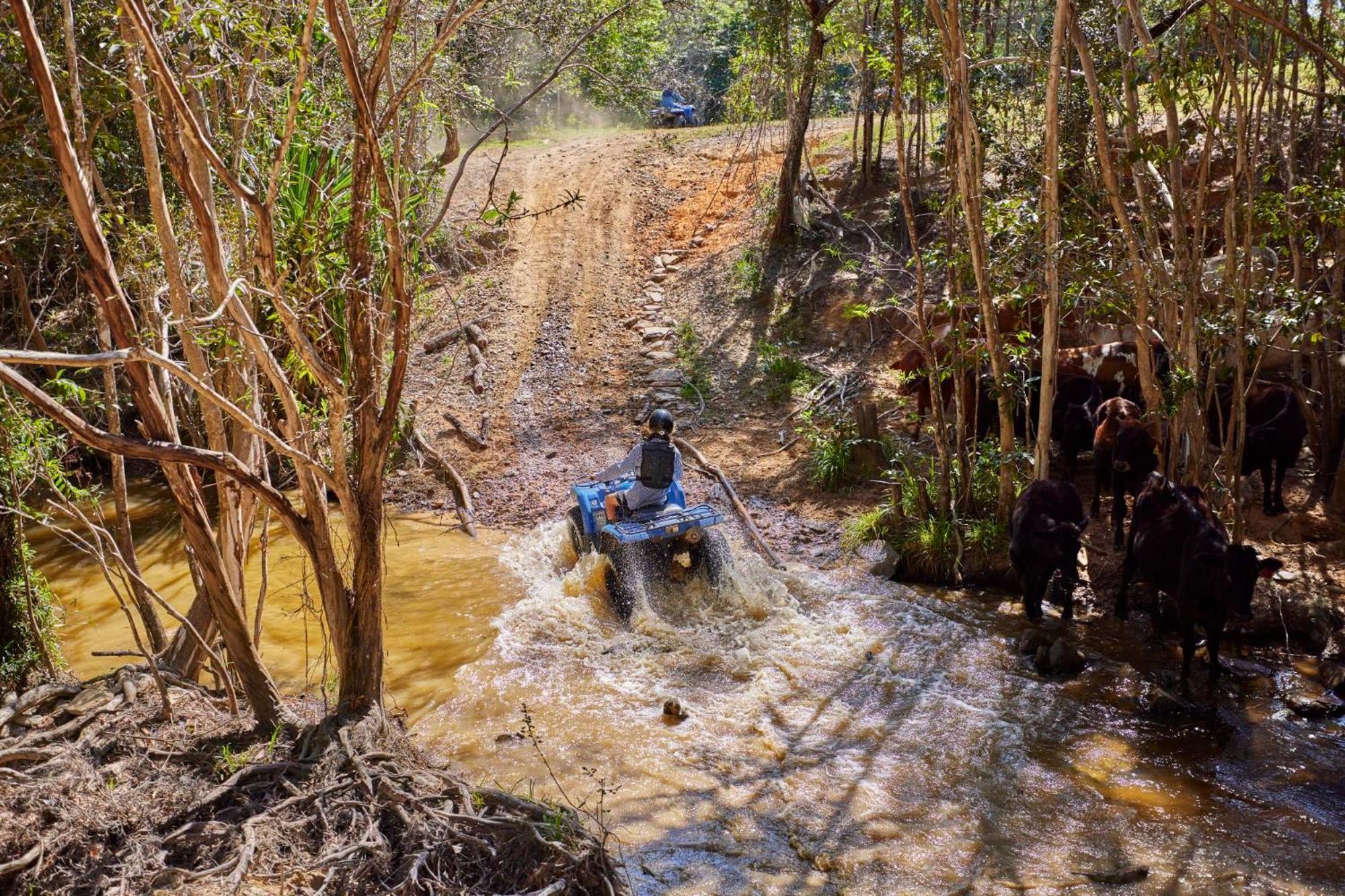 Kur-Cow Farm Escape 35 Minutes From Cairns Hotel Kuranda Bagian luar foto